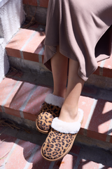 Mellow - WILD LEOPARD | Vintage Havana WILD LEOPARD