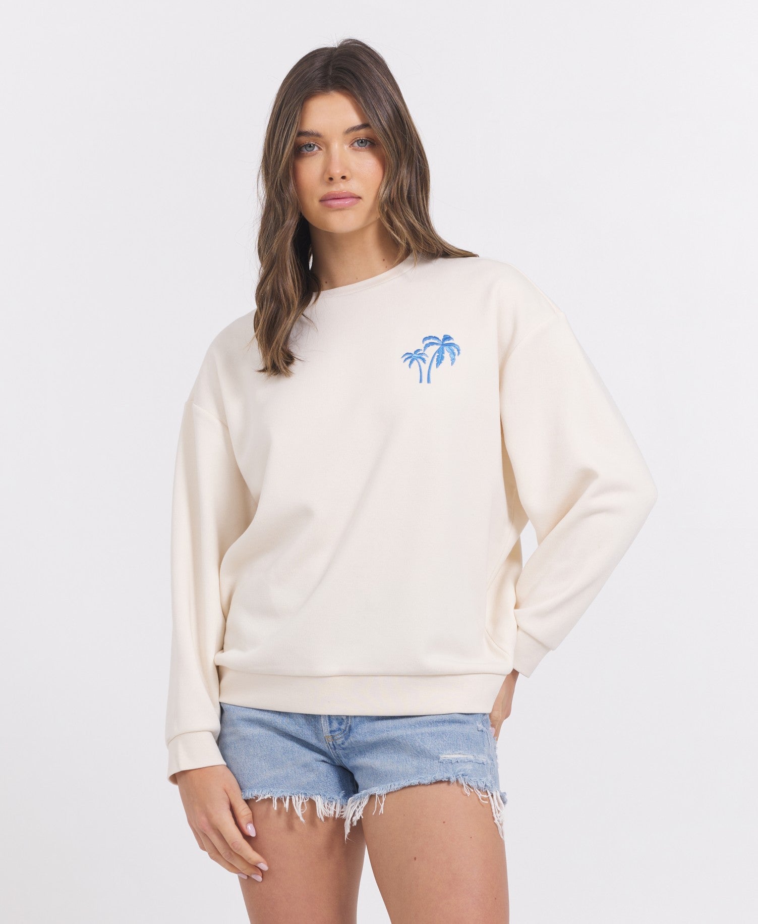 SURF WASH EMBROIDERED CREWNECK | Vintage Havana Coconut/ Hightide