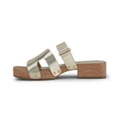 JASMINE - GOLD | Vintage Havana GOLD
