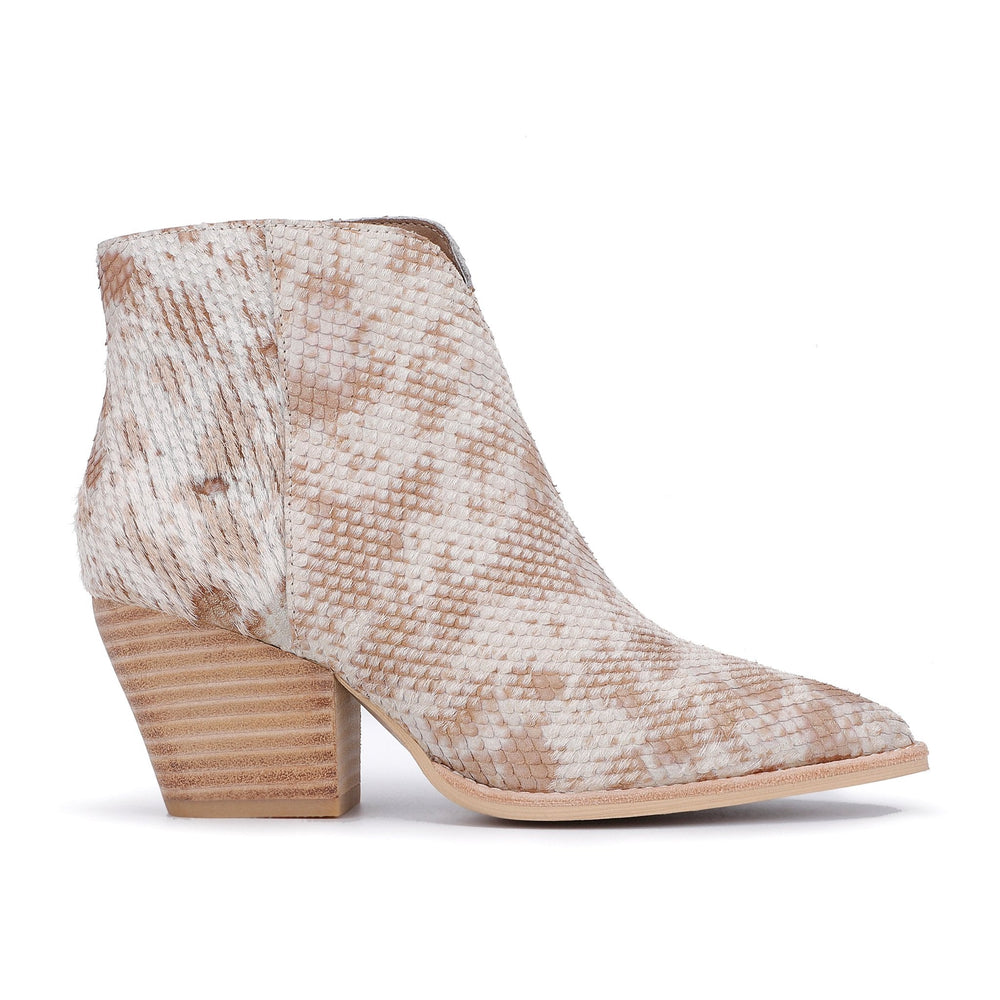 CASSIDY - SNAKE MULTI | Vintage Havana SNAKE MULTI