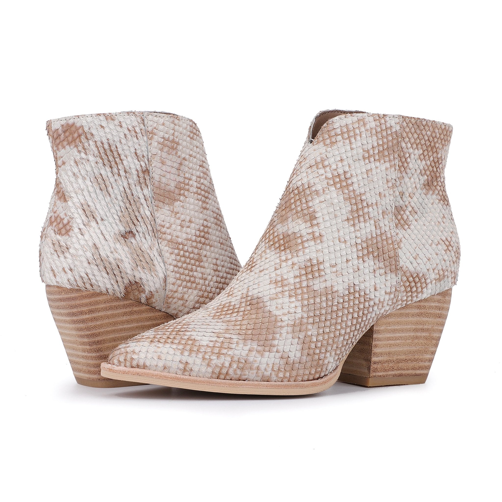 CASSIDY - SNAKE MULTI | Vintage Havana SNAKE MULTI