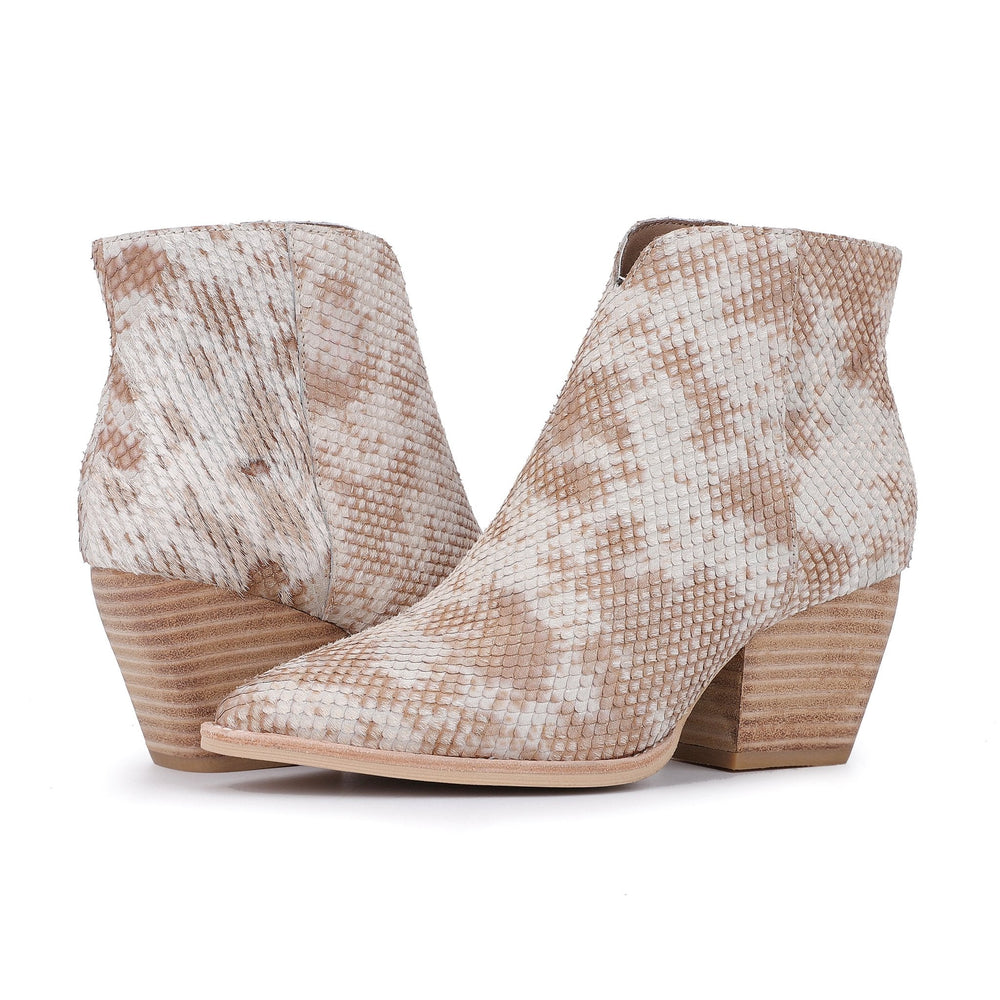 CASSIDY - SNAKE MULTI | Vintage Havana SNAKE MULTI
