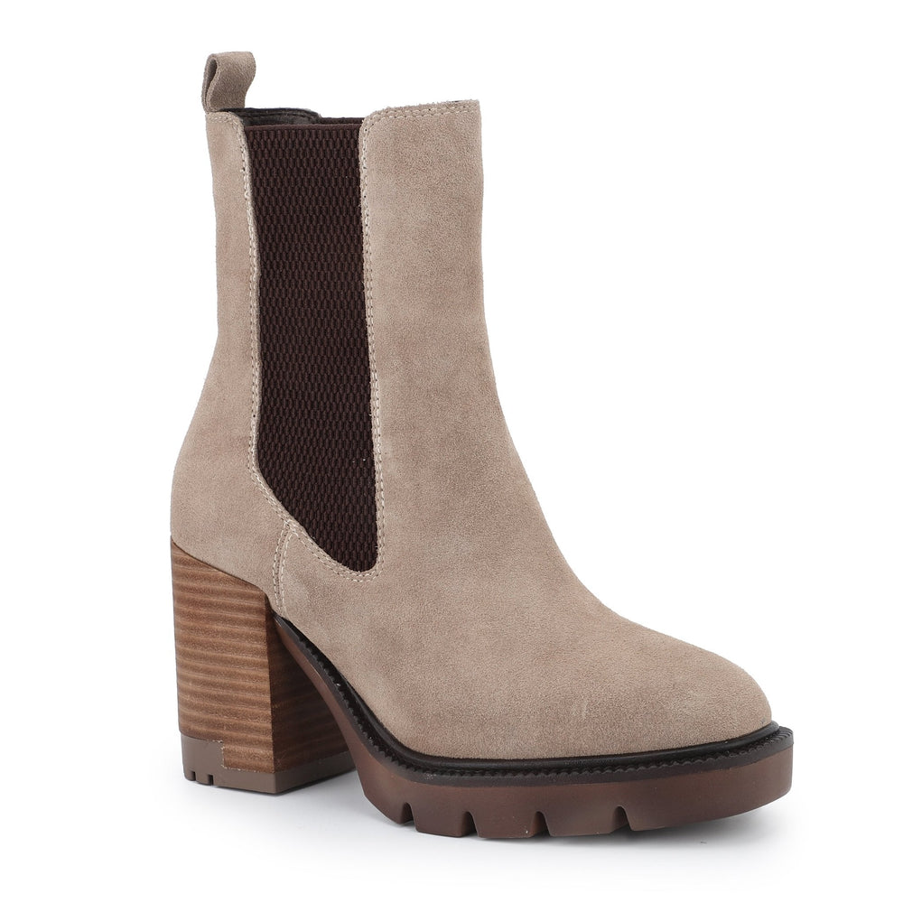 BRAYTON - TAUPE | Vintage Havana TAUPE