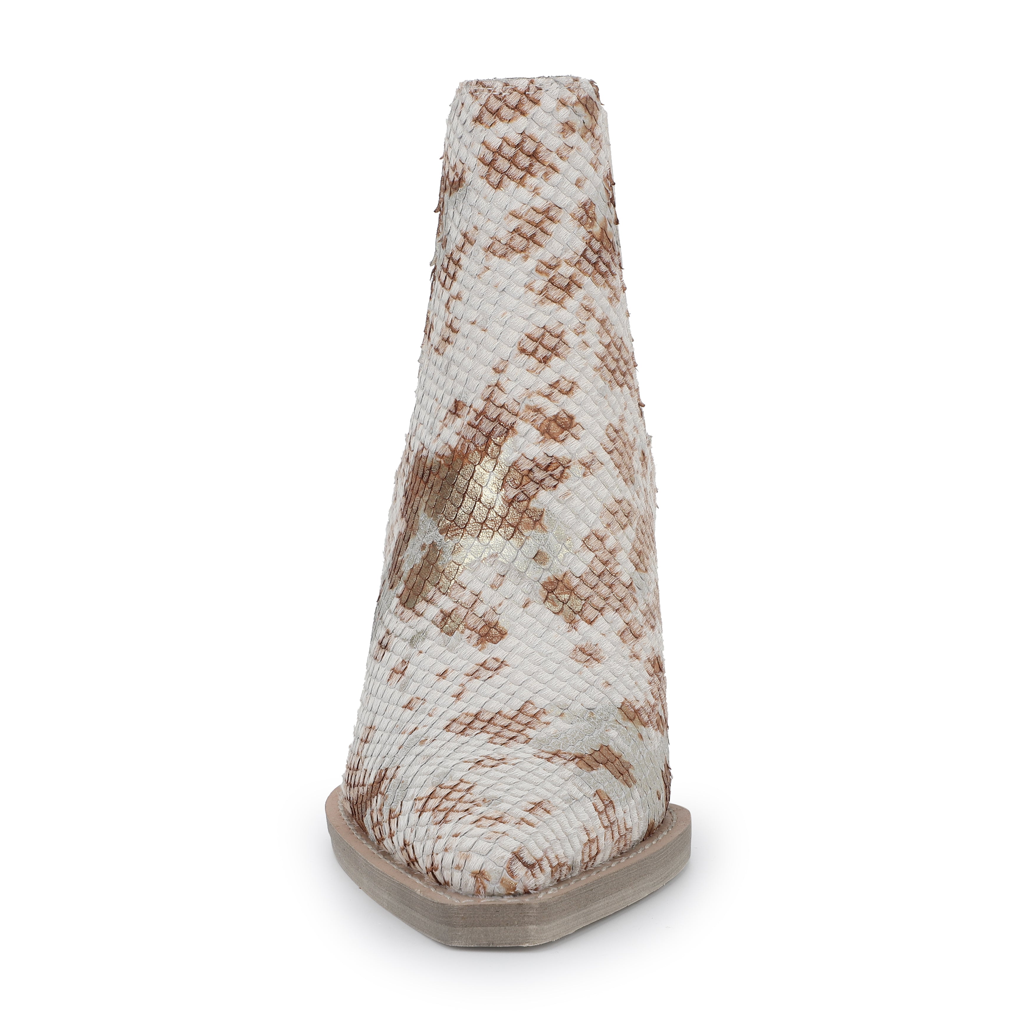 PATRON- SNAKE MULTI | Vintage Havana SNAKE MULTI