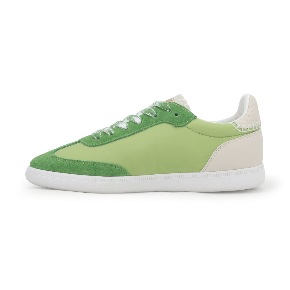 CRISP - GREEN POP | Vintage Havana GREEN POP