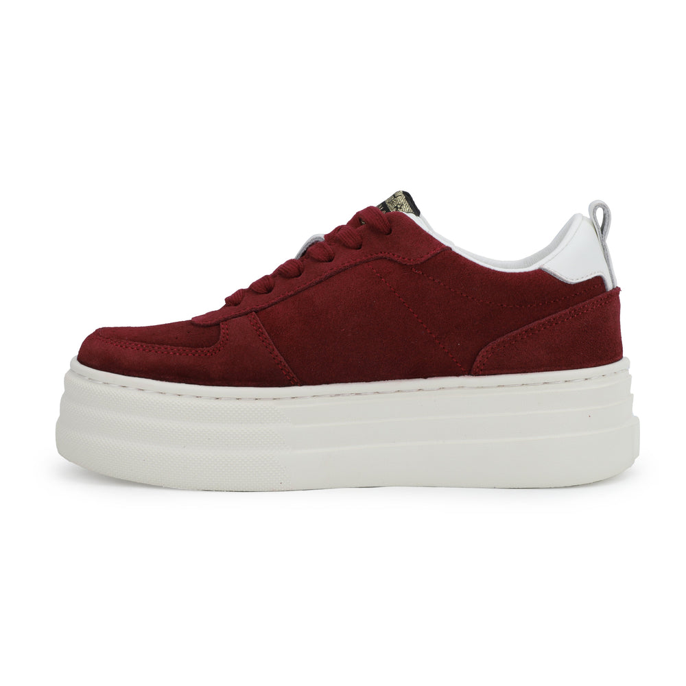 HUNTER - MAROON | Vintage Havana MAROON