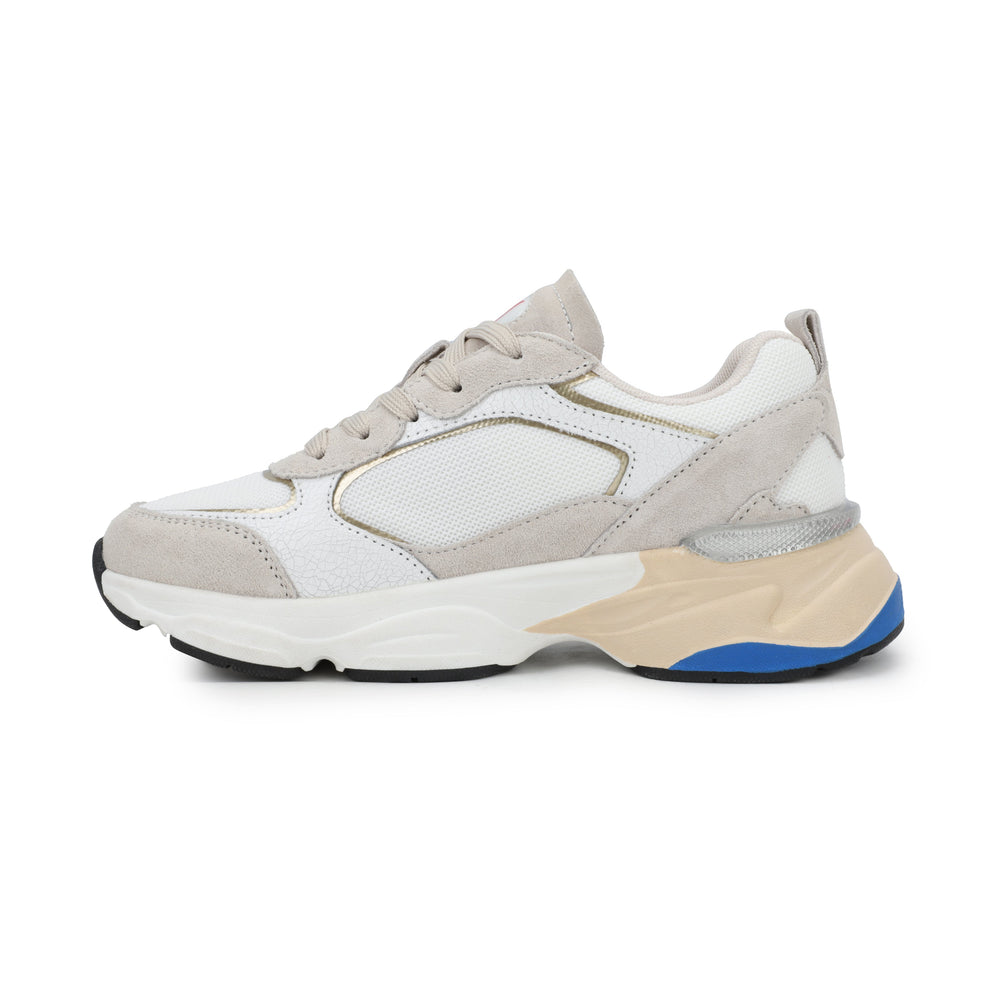DASH 7 - WHITE/GREY/RED/BLUE | Vintage Havana WHITE/GREY/RED/BLUE