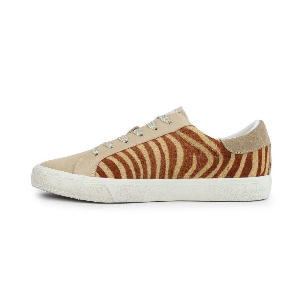 GRANDE - BROWN ZEBRA | Vintage Havana BROWN ZEBRA