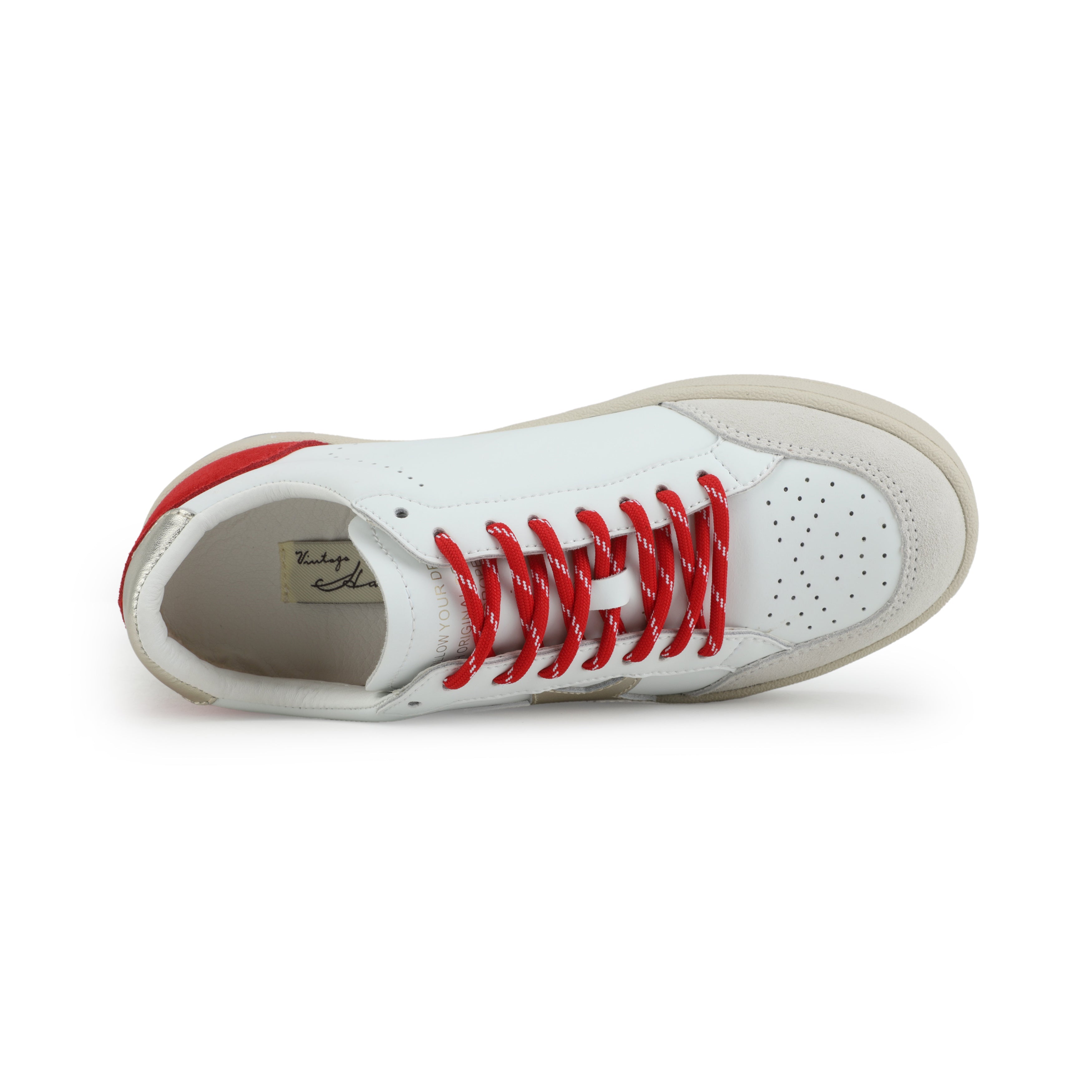 NOAH - WHITE RED MULTI | Vintage Havana WHITE RED MULTI