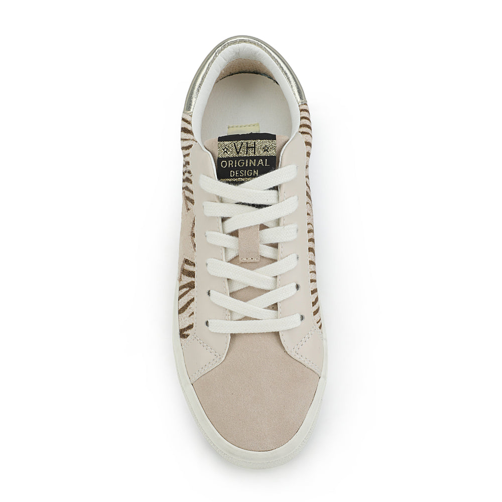 KATE - BLUSH GREY SNAKE MULTI | Vintage Havana BLUSH GREY SNAKE MULTI