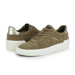 TEMPO - OLIVE | Vintage Havana OLIVE