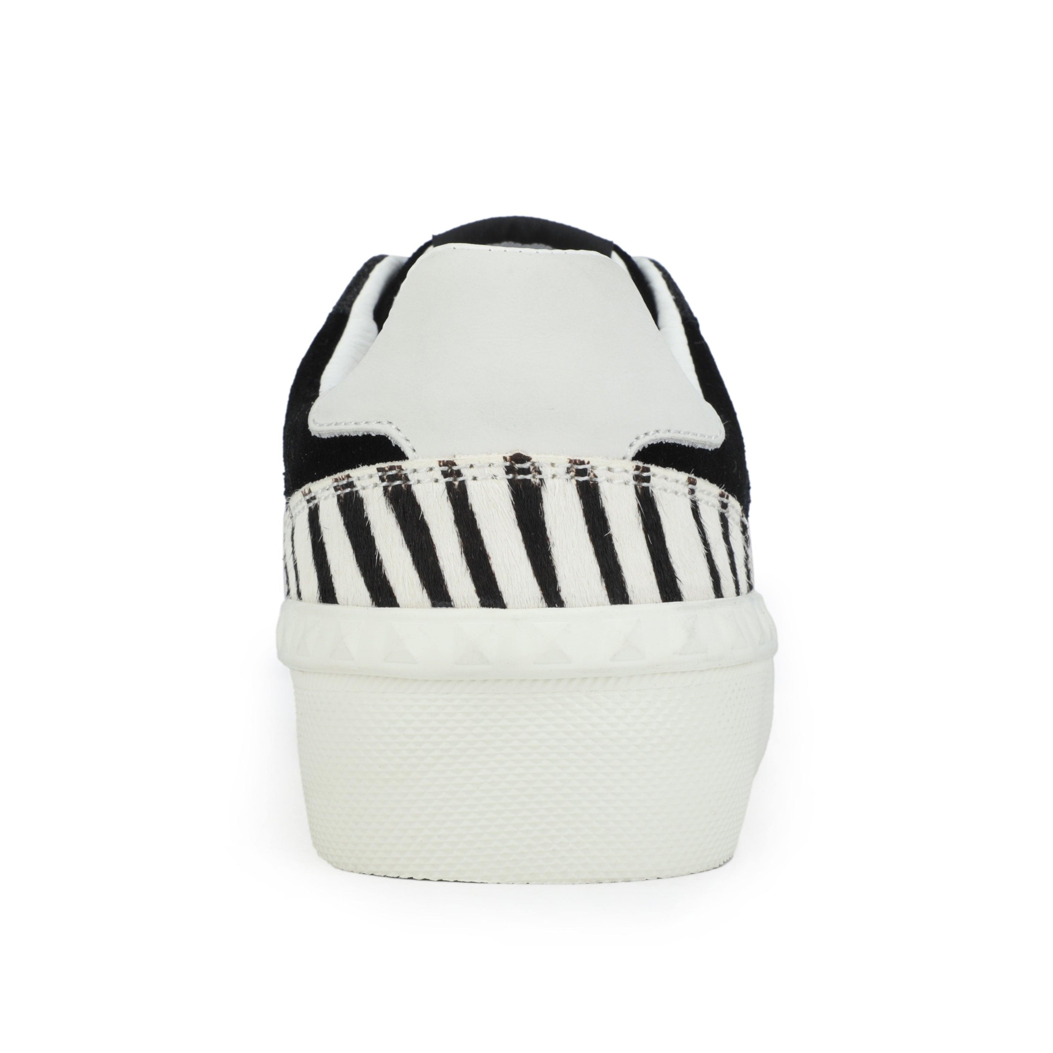 TEMPO - BLACK ZEBRA | Vintage Havana BLACK ZEBRA