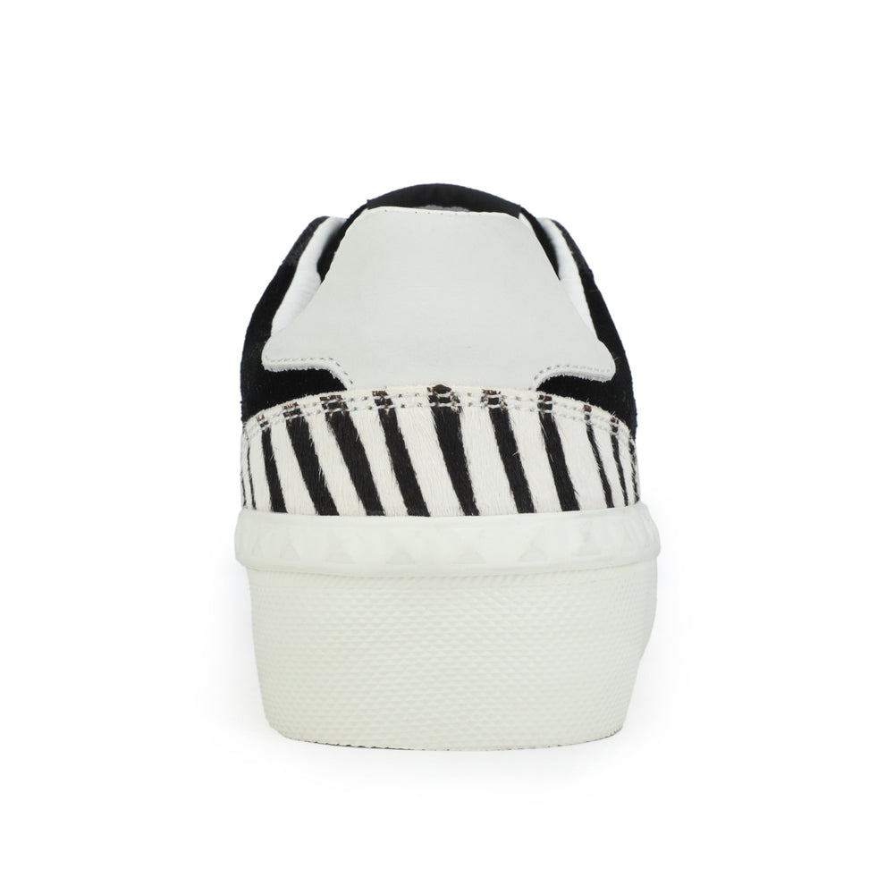 TEMPO - BLACK ZEBRA | Vintage Havana BLACK ZEBRA