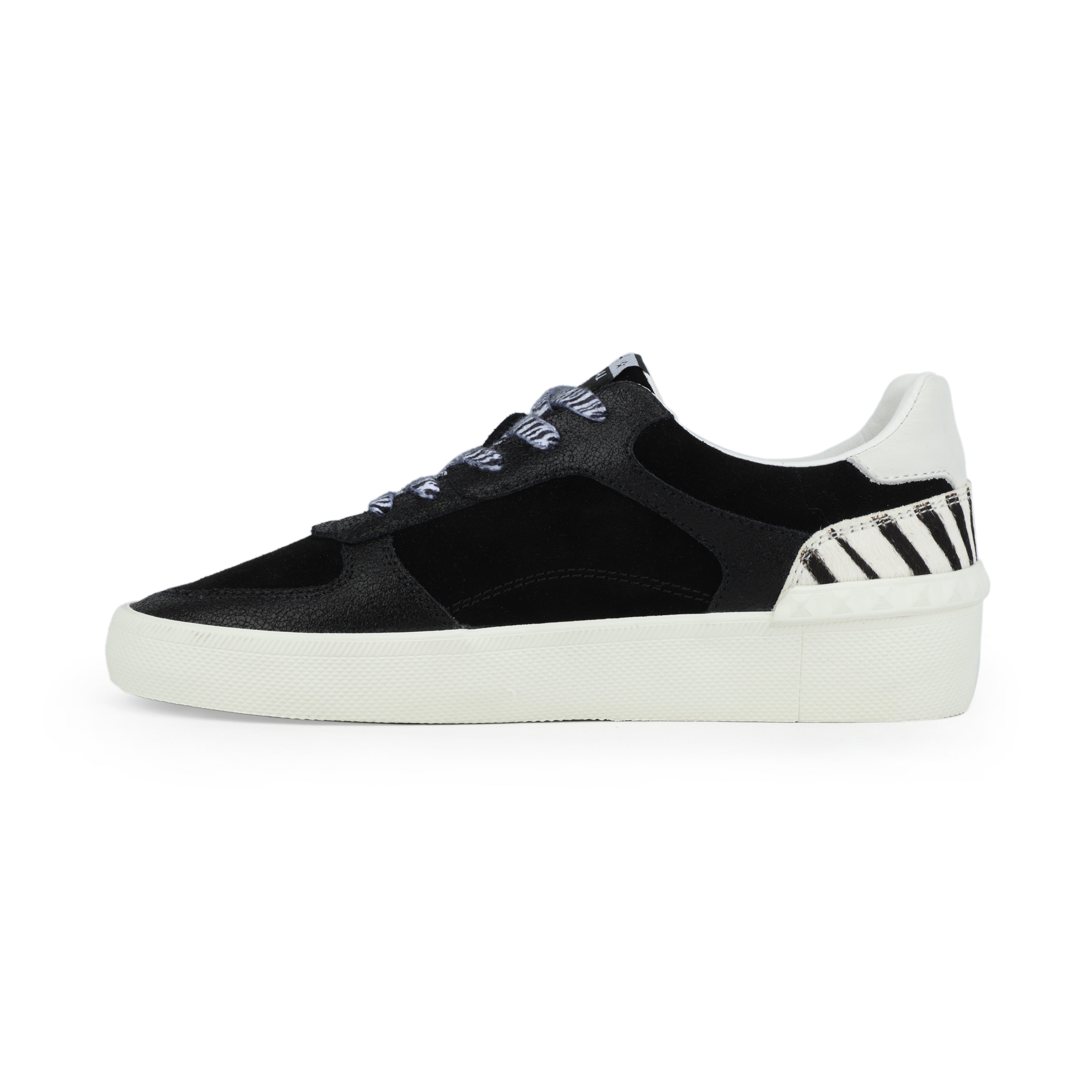 TEMPO - BLACK ZEBRA | Vintage Havana BLACK ZEBRA
