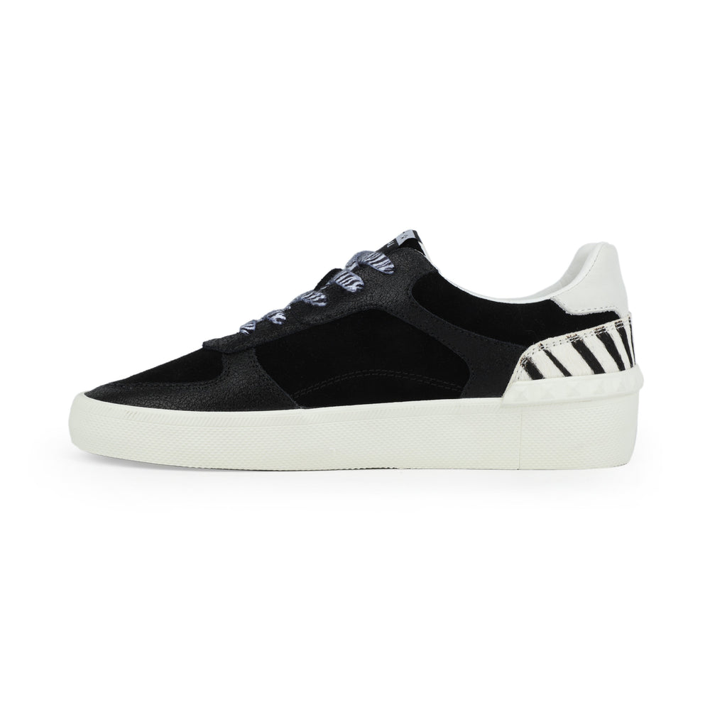 TEMPO - BLACK ZEBRA | Vintage Havana BLACK ZEBRA