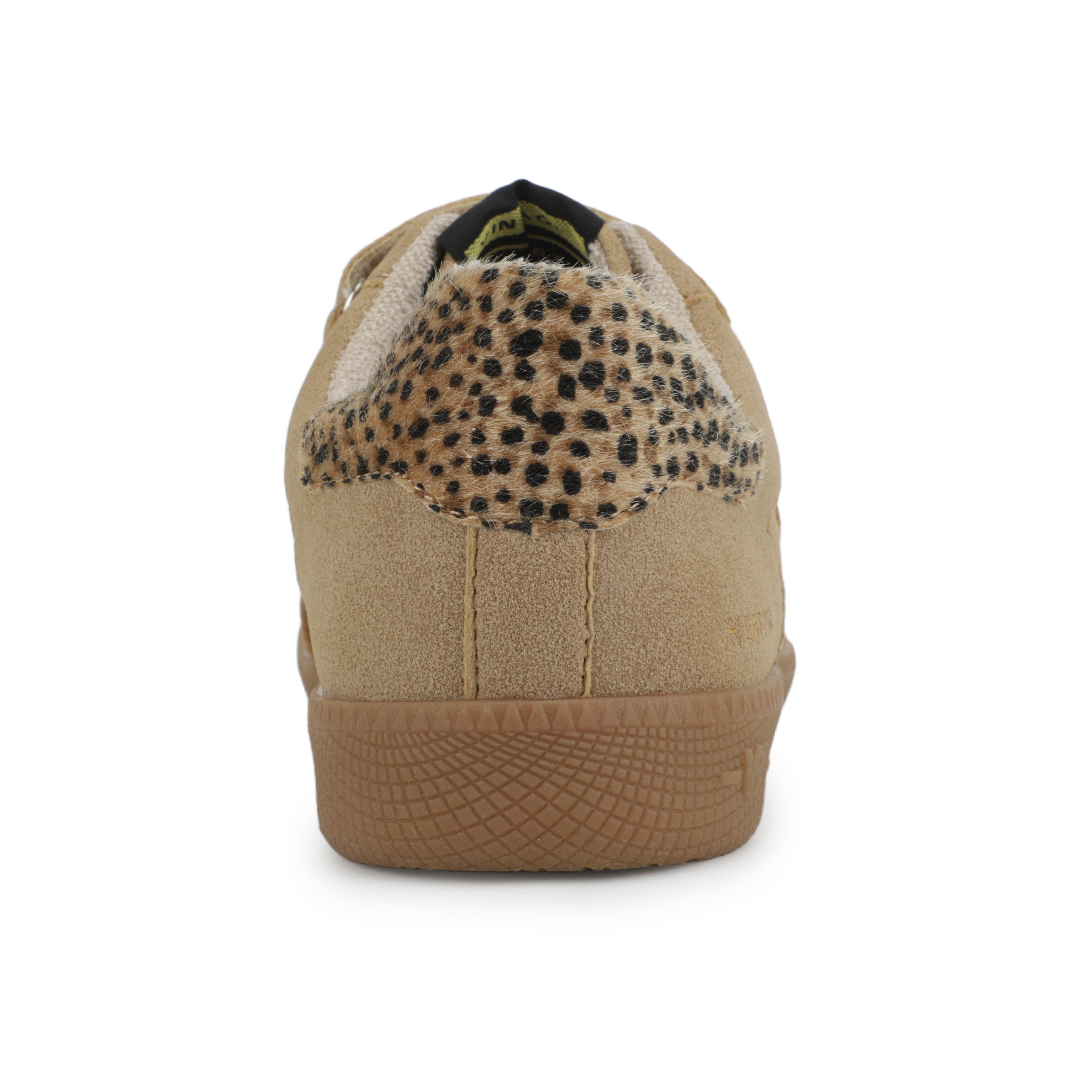 PACE - CAMEL | Vintage Havana CAMEL