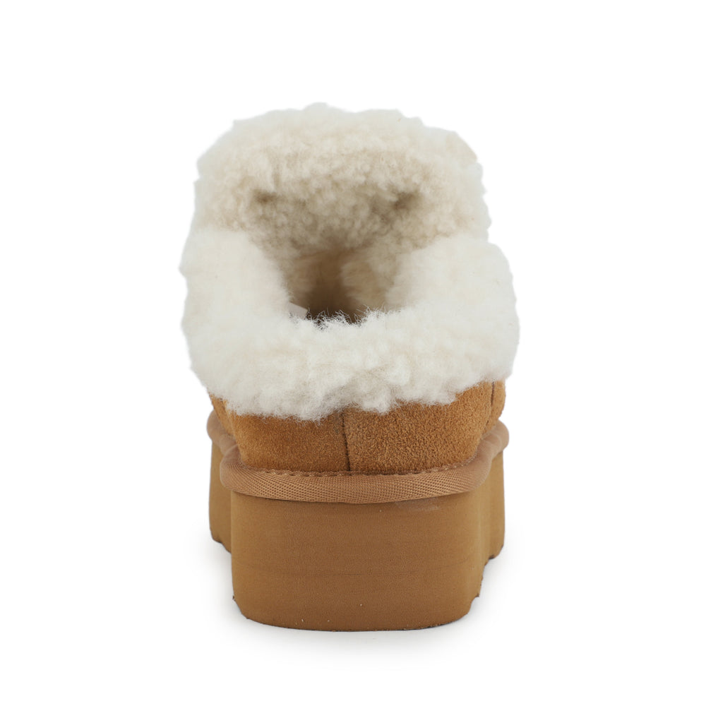 CHARM 2 - CHESTNUT SUEDE | Vintage Havana CHESTNUT SUEDE